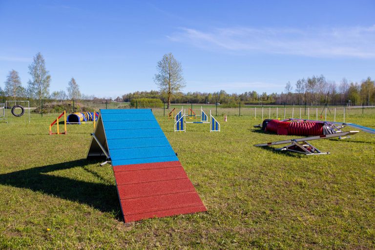 Päides on MTÜ Rakvere Koeraspordi Klubi treeninguplats, kus saab koertega käia kuulekuskoolis, agility-treeningul ja kutsikakoolis.