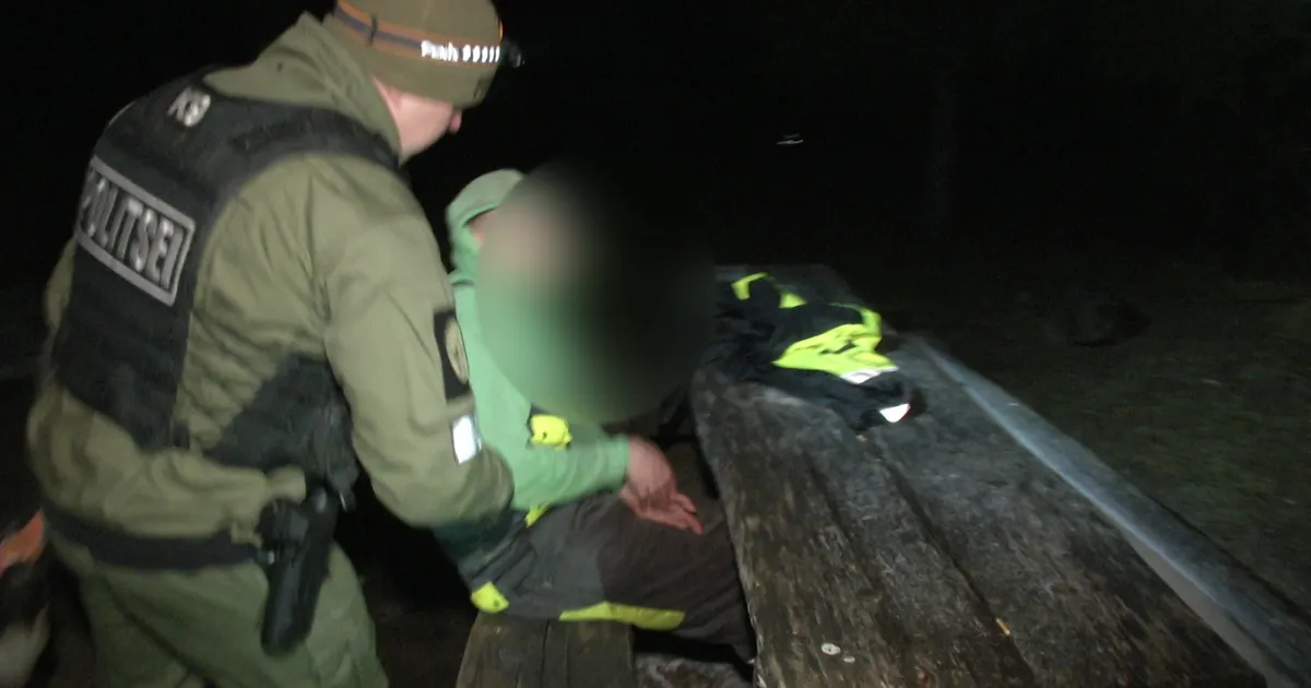 Reporter: Metsa eksinud mehe elu päästis treenitud ninaga politseikoer ...