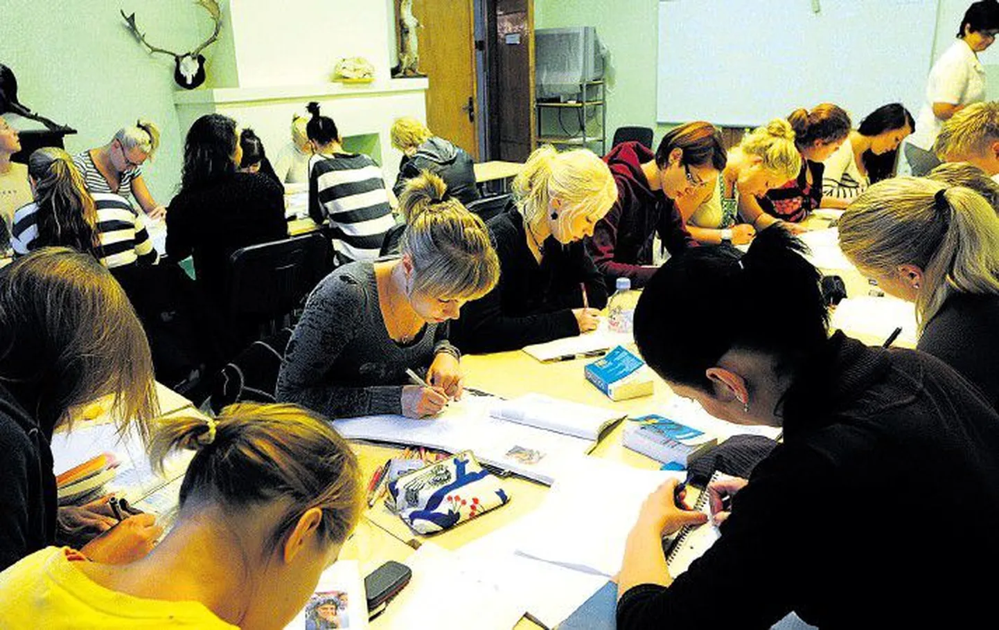 Täpselt nädal aega on tulevased soomlastest loomaarstitudengid veetnud Eesti Maaülikooli keelekeskuses, et kümne päe­va jooksul õppida nullist eesti keelt koolis hakkamasaamiseks.