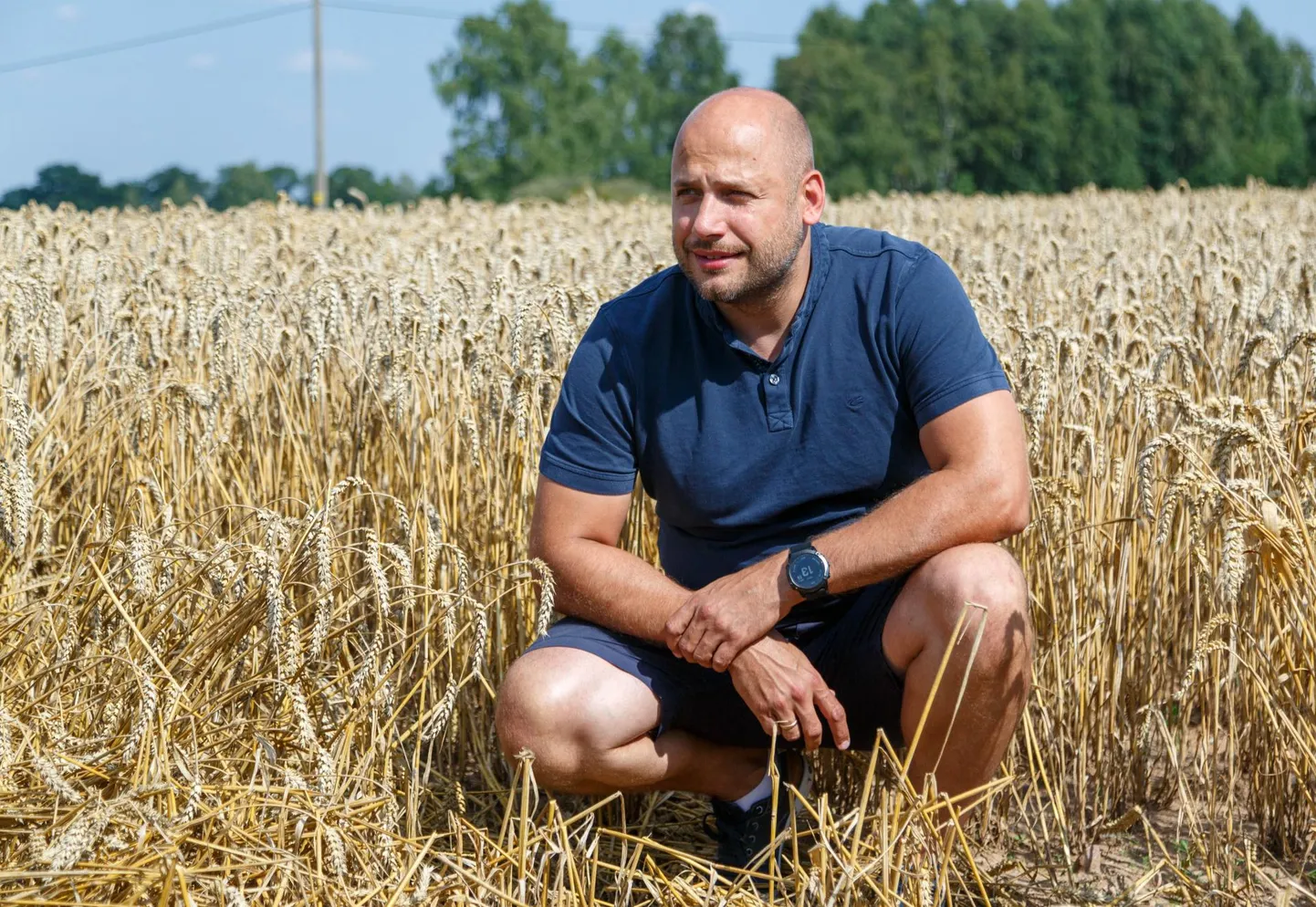 Kevili ärijuhi Alo Alti sõnul tasuks põllumeestel vähemalt osa väetist praegu ära osta.