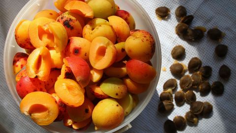 Discounted exotic fruits offer sweet surprises in homemade jams