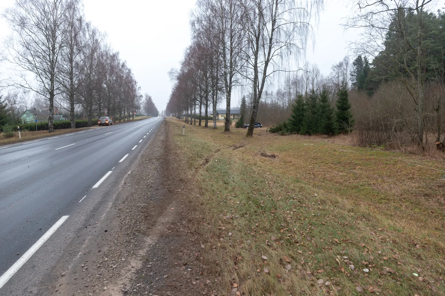 Libedusega kaasneb oht teelt välja sõita.