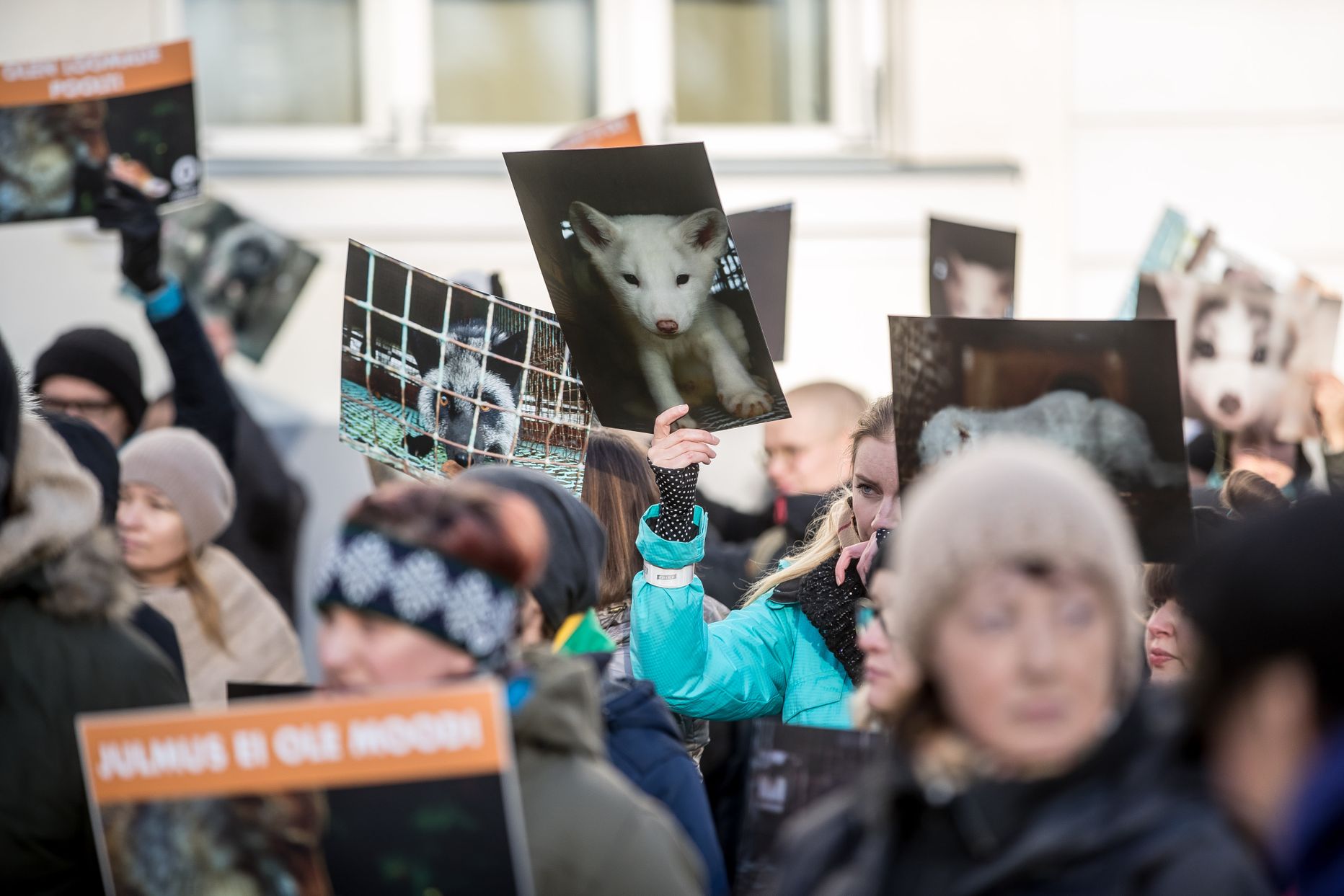 Акция протеста защитников животных.