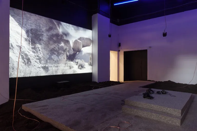 Dominique Koch, «Holobiontide ühiskond», 2017.
