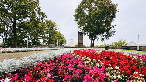 Narvast saab taas Eesti sügispealinn