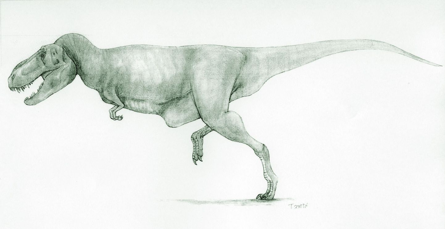 Kunstniku nägemus Tarbosauruses