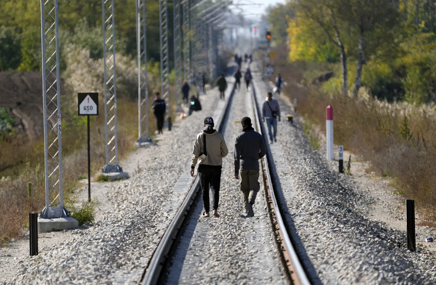 Migrandid liikumas Ungari-Serbia piiri lähedal raudteel. Foto on illustratiivne.
