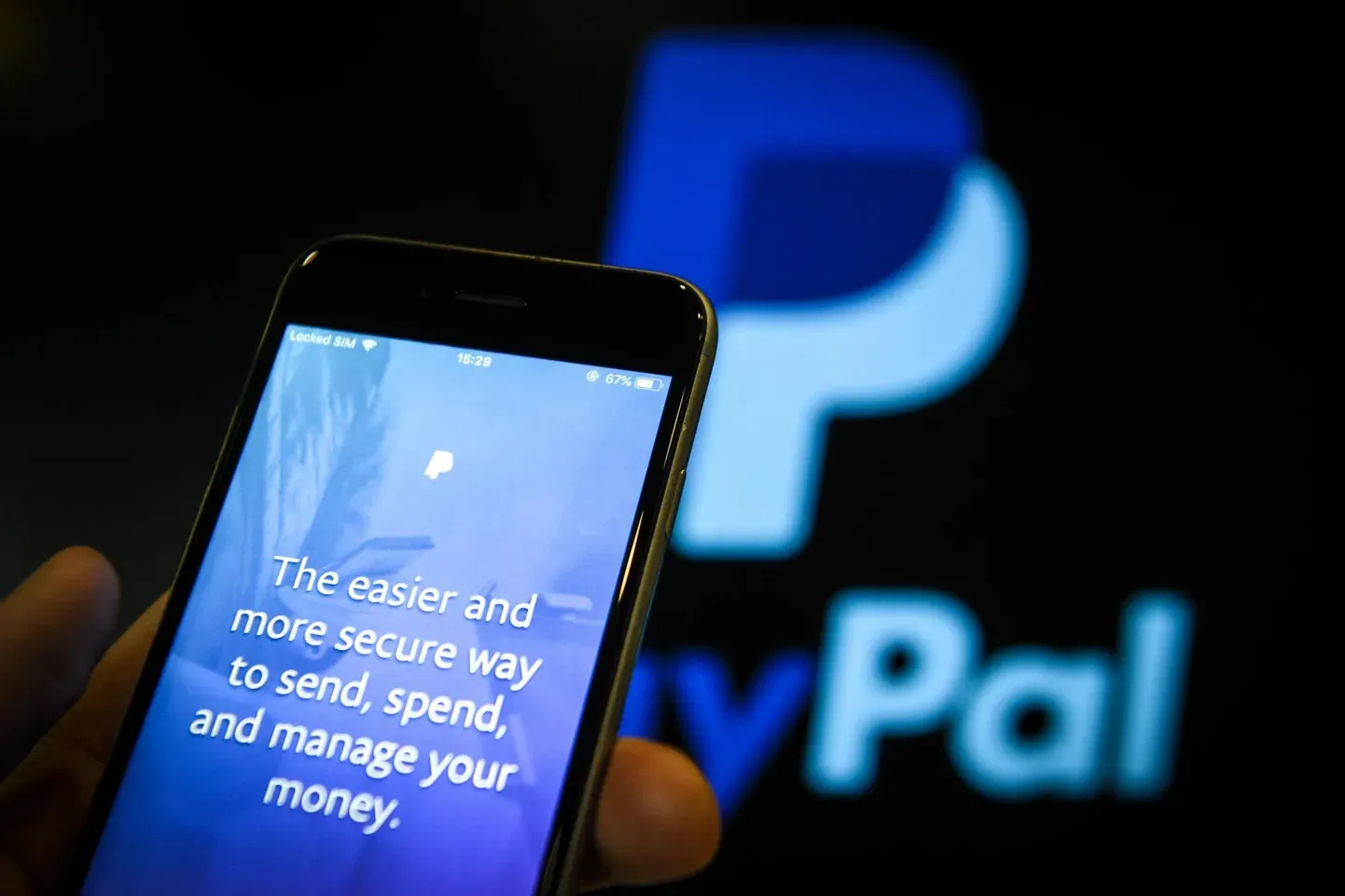 Лого PayPal.