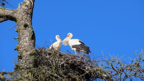 В воскресенье воздух в Латвии прогреется до +14 градусов