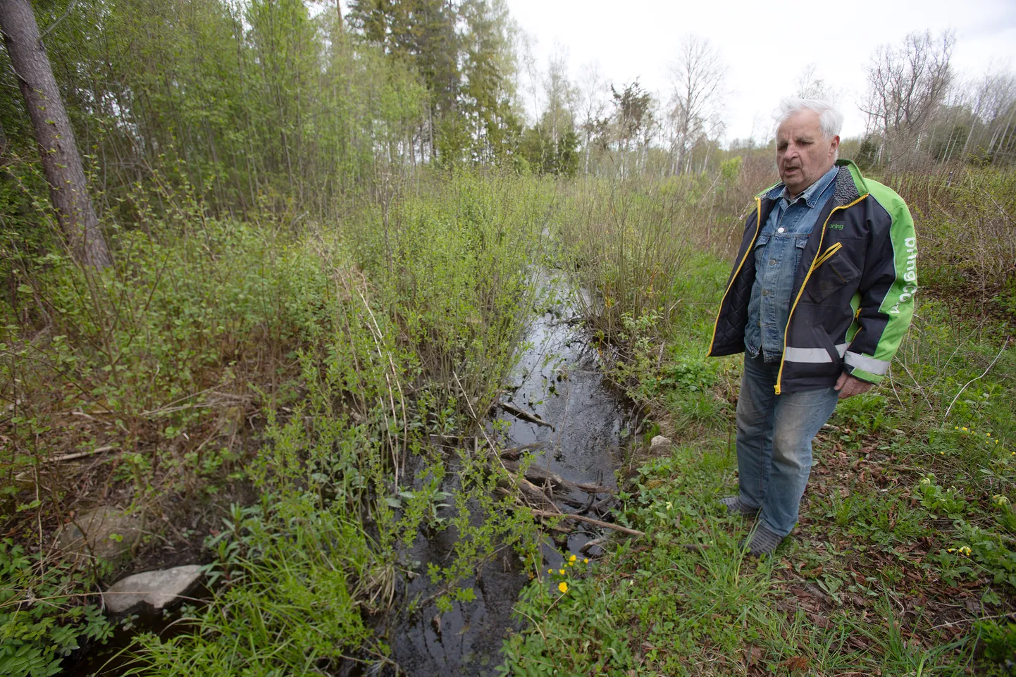 GENNADI AAVIK ei mõista, mismoodi kahjustab kraavi puhastamine siinset elustikku ja loodusväärtusi.