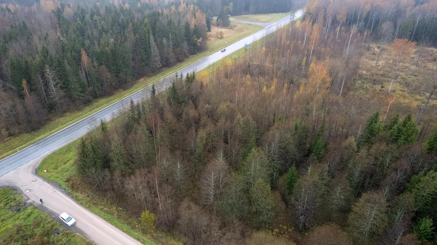 Tähtvere puhkemetsade majandamise kava kohaselt tehakse lage- ja harvendusraieid Tallinna–Tartu maantee ääres Vorbuse ja Kardla vahel asuvas metsas juba tuleval aastal.