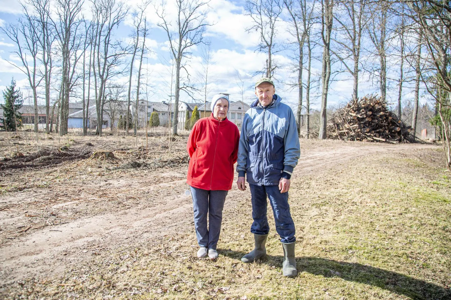 Vana-Antsla elanikud Leo Pihlapuu ja Helle Püss ütlesid, et pärast alevikus tee kõrval asunud tammiku raiet on meel kurb. «52 aastat sai tammikust läbi tallatud,» ütles Püss.