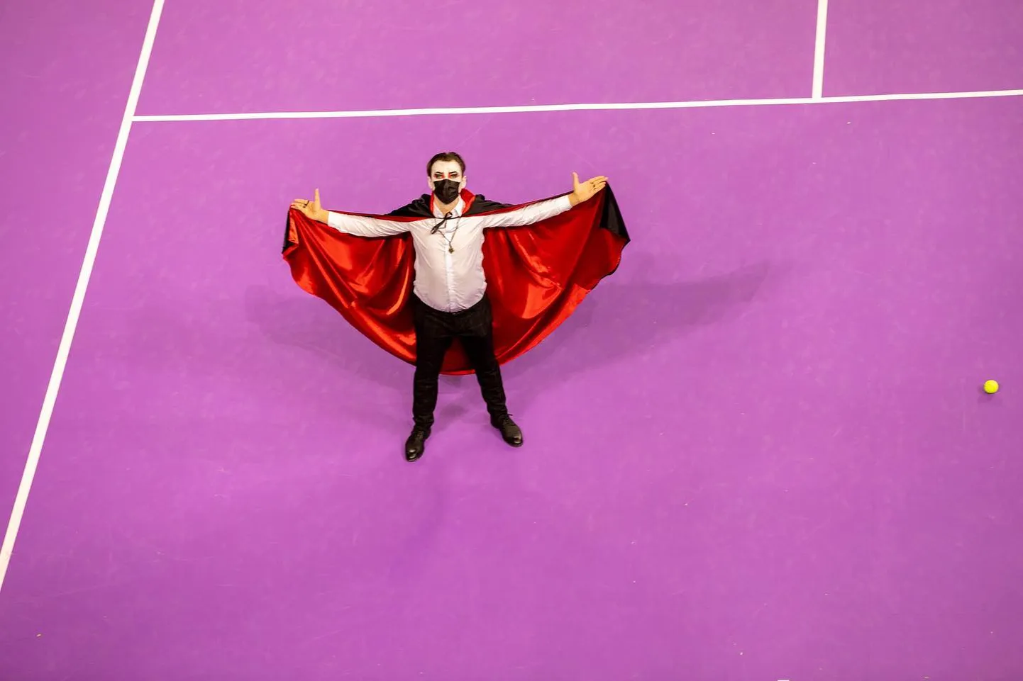 Dracula elab Transilvaania Openile aktiivselt kaasa.