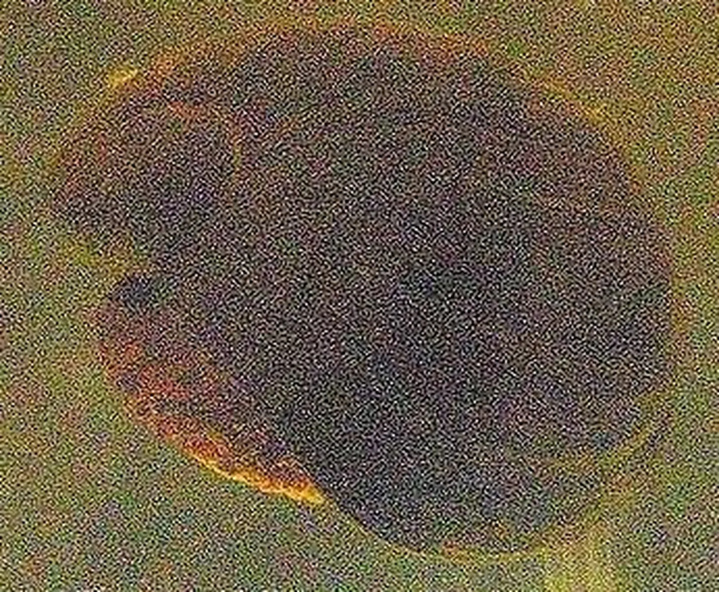 Crysomallon squamiferum
