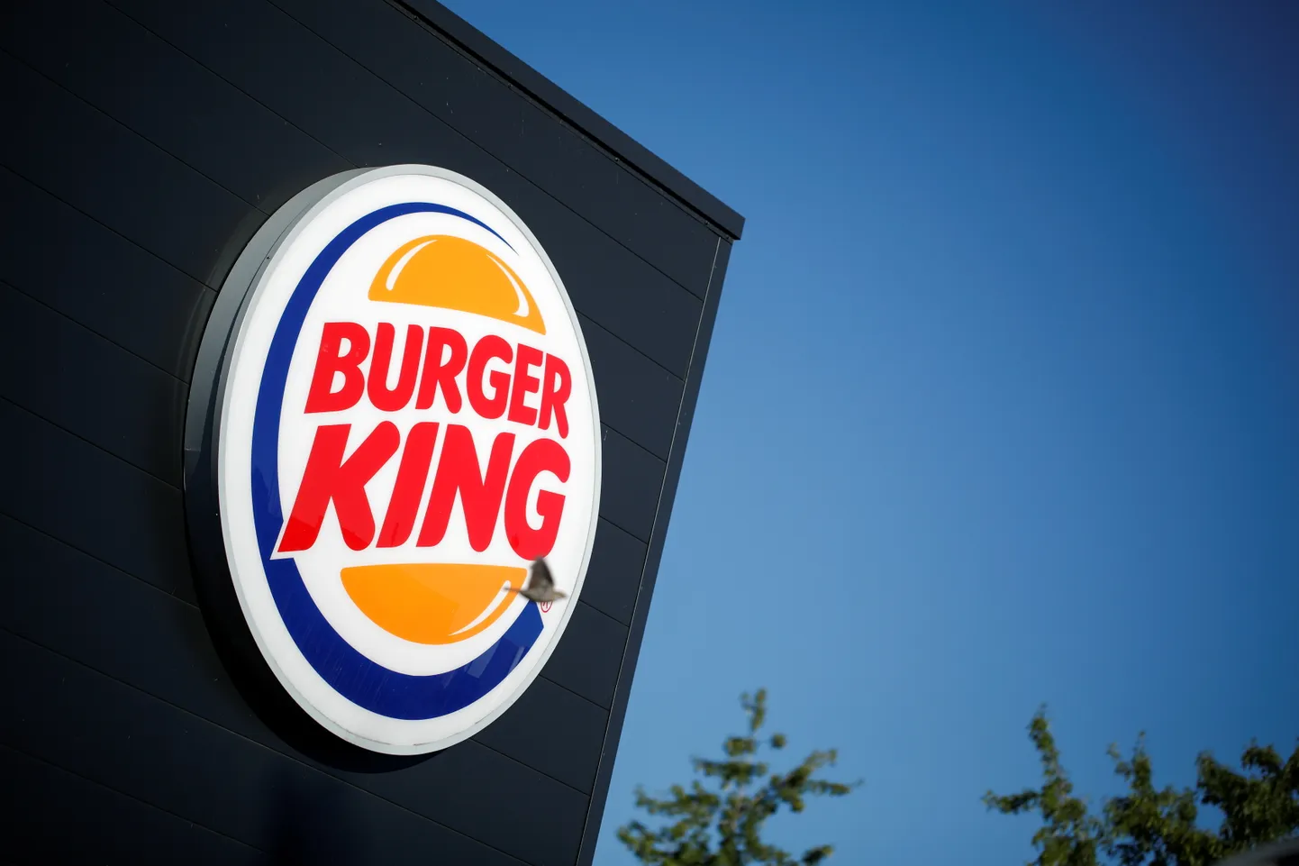 Вывеска Burger King