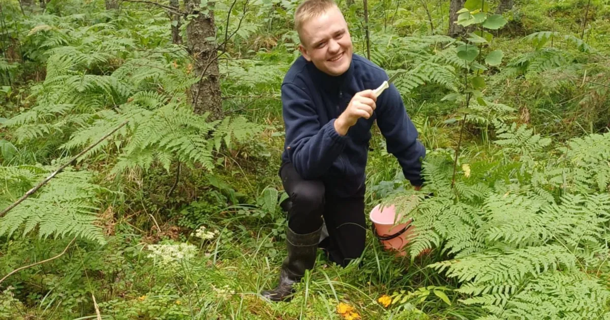SEENELISED VASTAVAD Kus ja kui palju on kukeseeni?