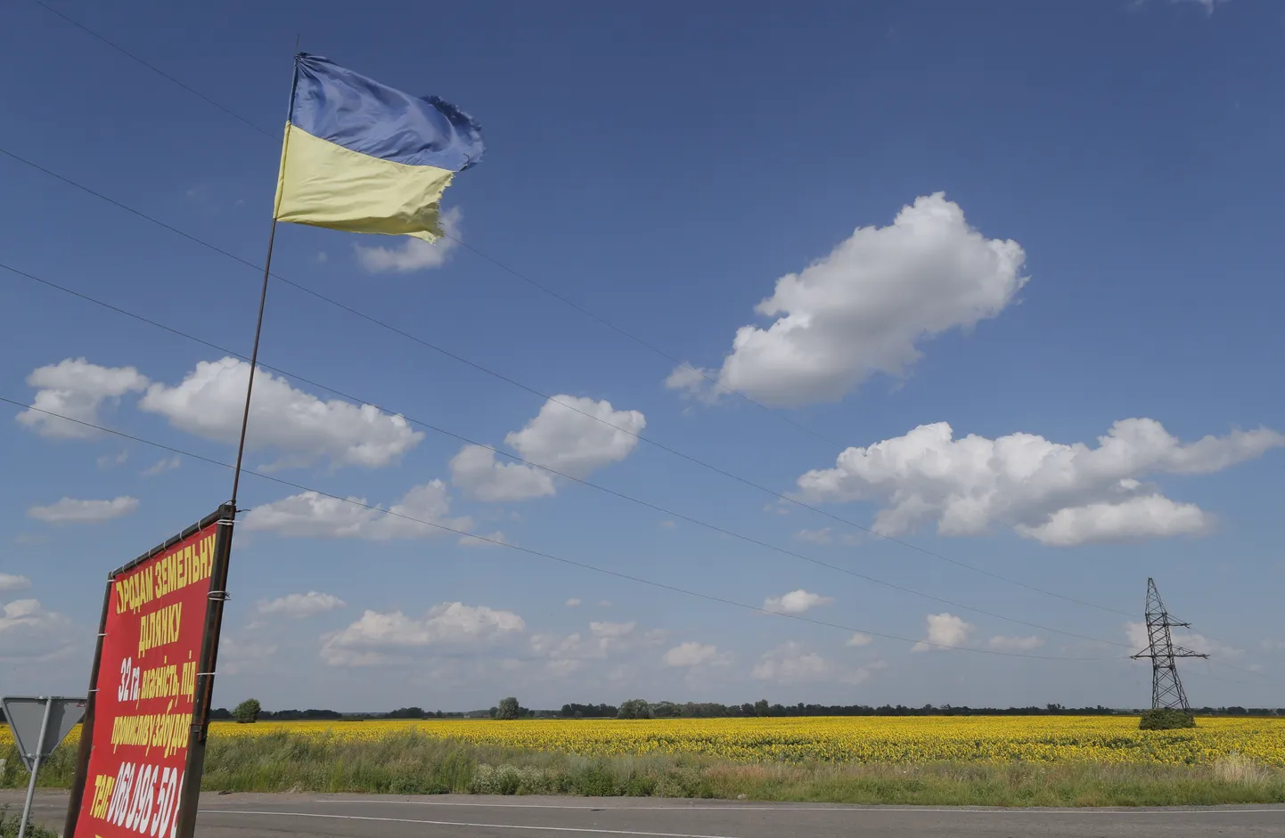 Ukraina lipp päevalillepõldude keskel