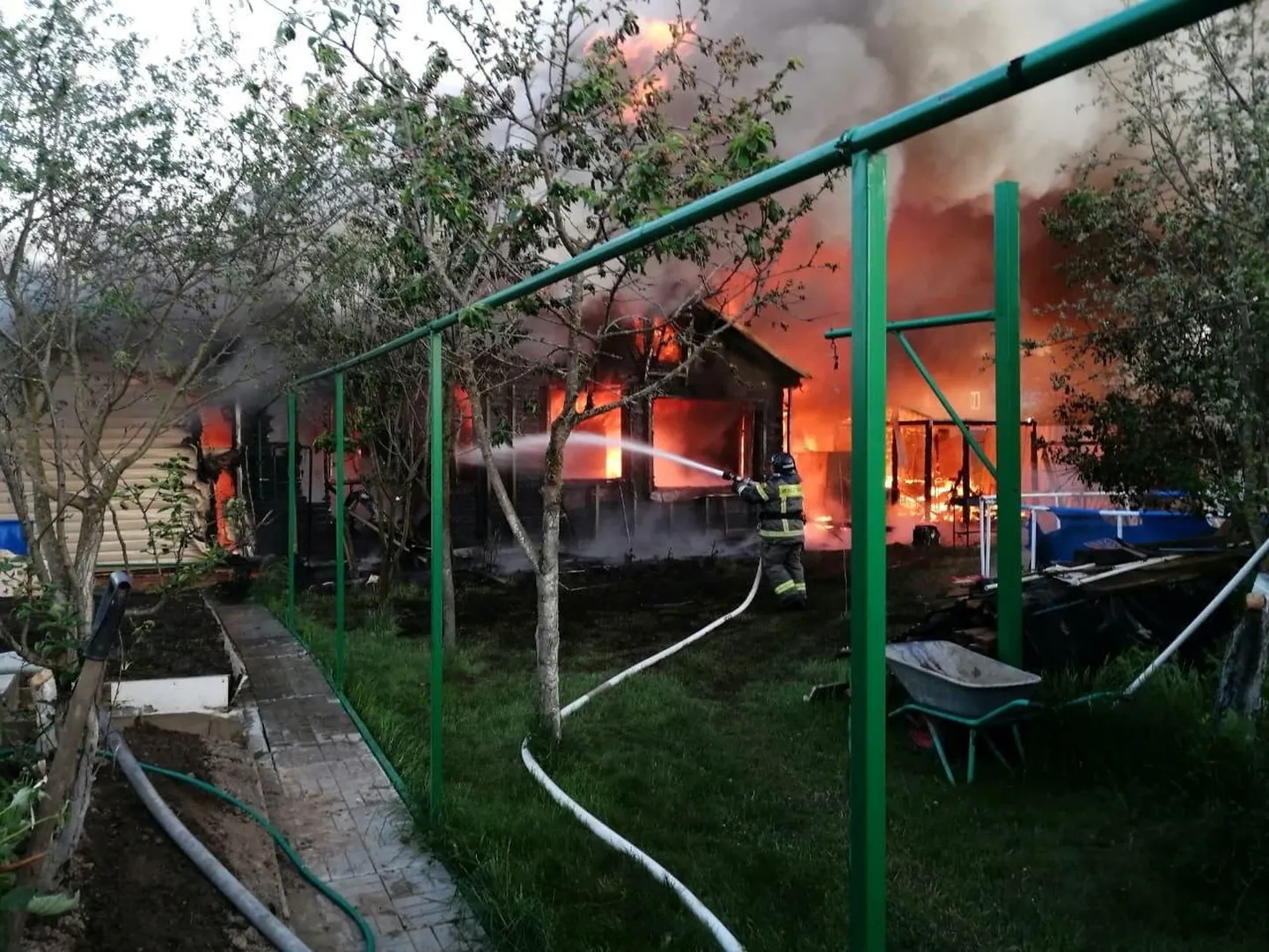 Raksta foto
