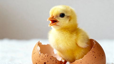 PÄEVAHOROSKOOP ⟩ 4. aprill: Kaksikud peaksid kasutama nädalavahetust eneseanalüüsiks, Ambur võiks leida aega puhkuseks