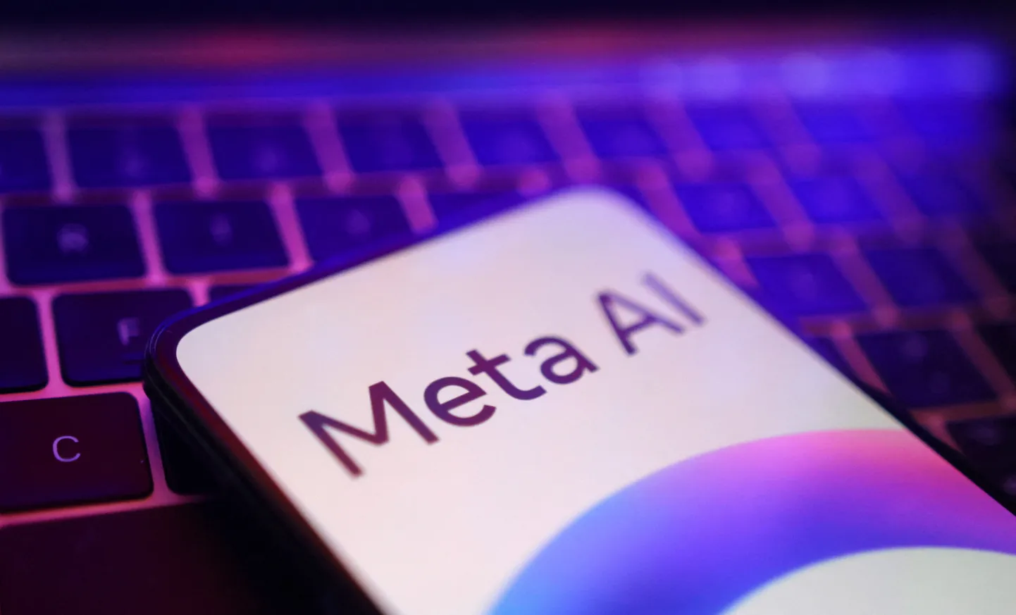 Enamasti toimetavad robotid veebiavarustes tasa ja targu ega sega kedagi. Meiega oli aga juhtunud nii, et hakkasime huvi pakkuma ühele Facebooki/Meta robotile, mis korjab infot muu hulgas tehisintellekti treenimiseks.