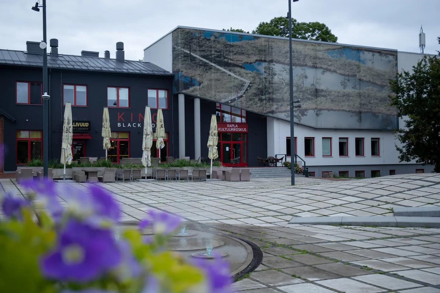 Rapla kino.