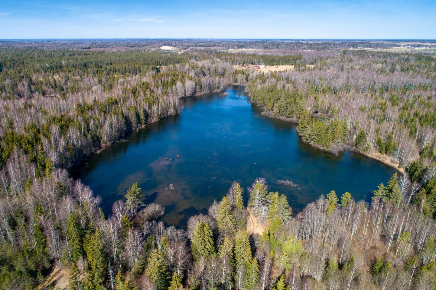 Võhmetu järv on tänavuse kõrge veeseisuga ka kõrval oleva väikese järve enda rüppe haaranud.