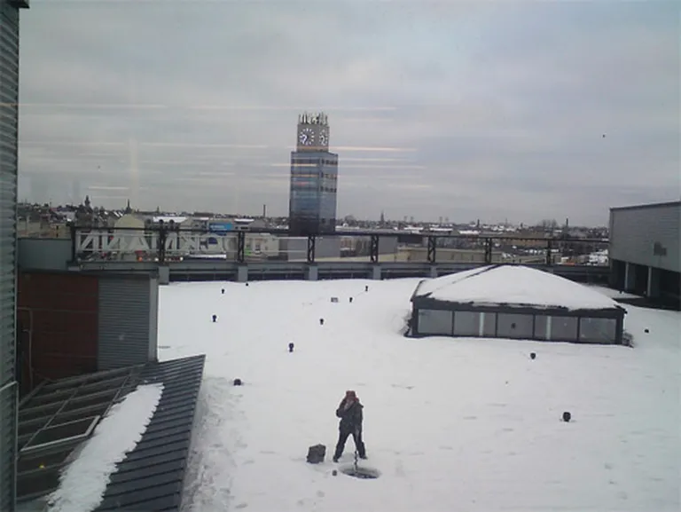 Фото статьи