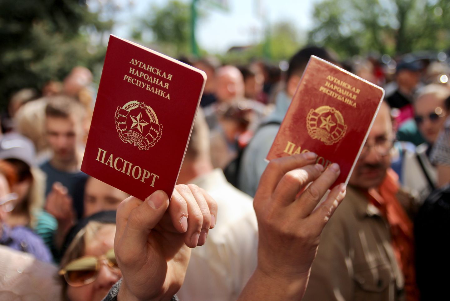 Паспорт жителя самопровозглашенной Луганской народной республики.