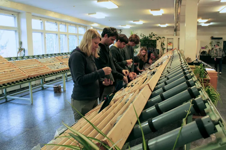 Soolade kirjeldamine 2014. a Karjalas.