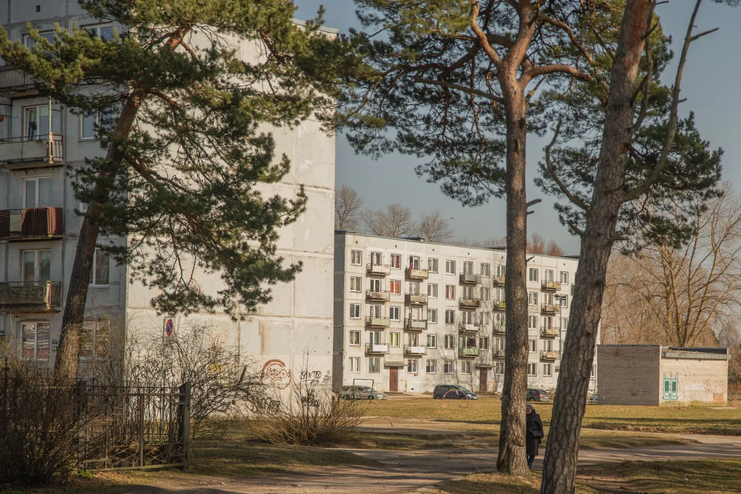 Кароста.