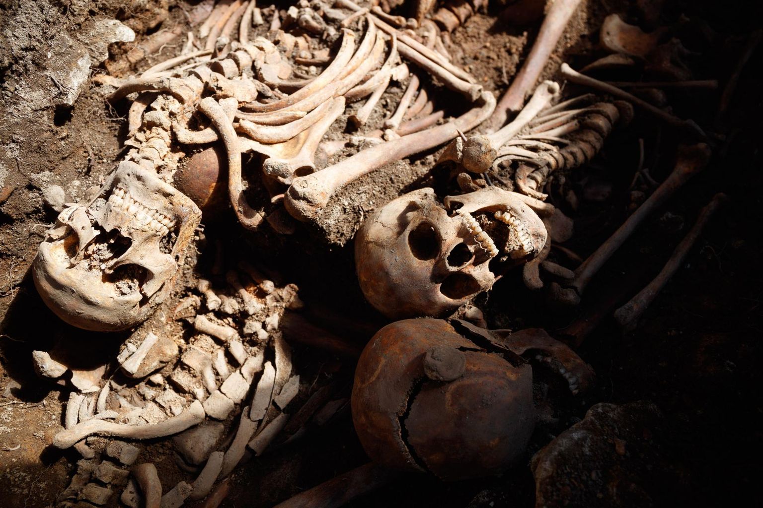 Skeletons next to St. Nicholas Church in the pit of the future water line.