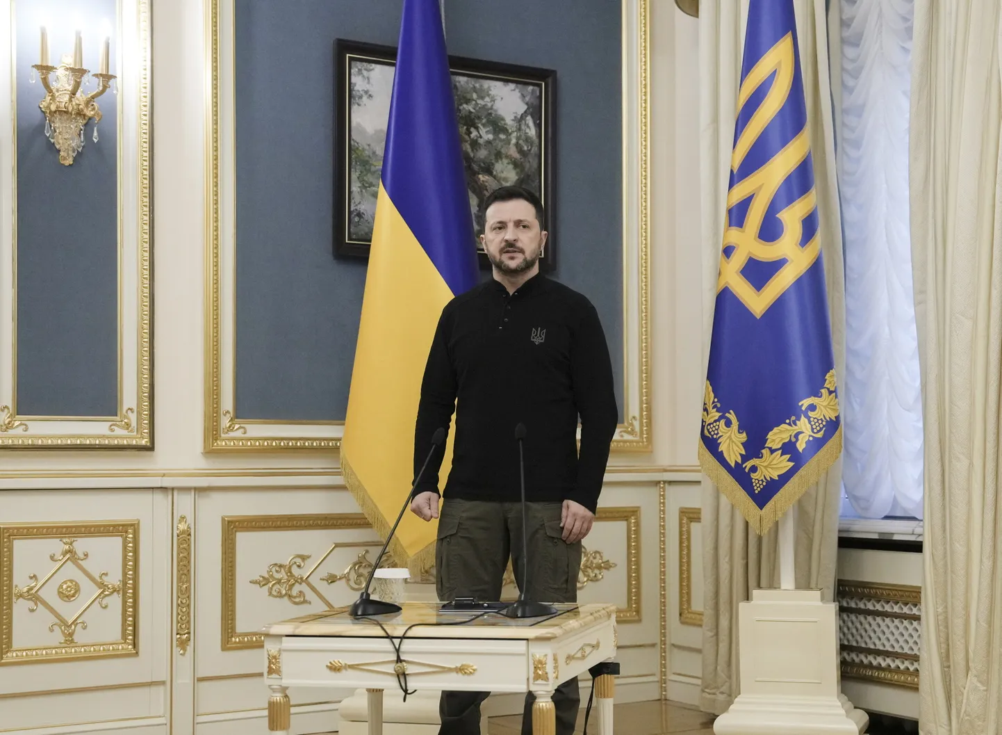 Президент Украины Владимир Зеленский
