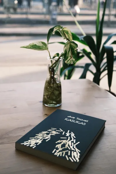 Ave Taaveti novellikogu «Kasukas».