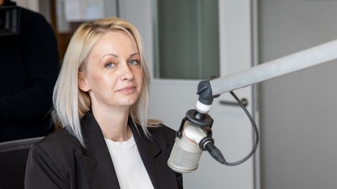 Tööinspektsiooni juht 700 000 euro väljapetmisest Kunstnike Liidult: ma ei tahaks küll kogu süüd raamatupidajale panna