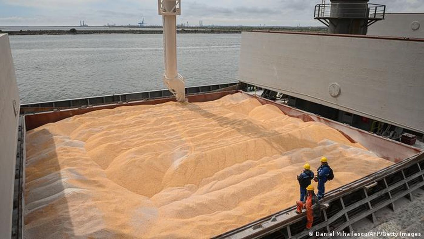 В румынском морском порту Констанца на судно грузят пшеницу из Украины