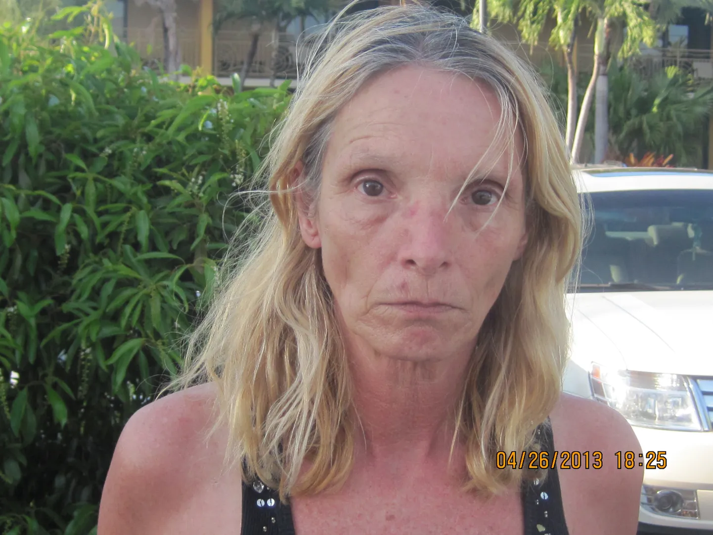 Brenda Heist