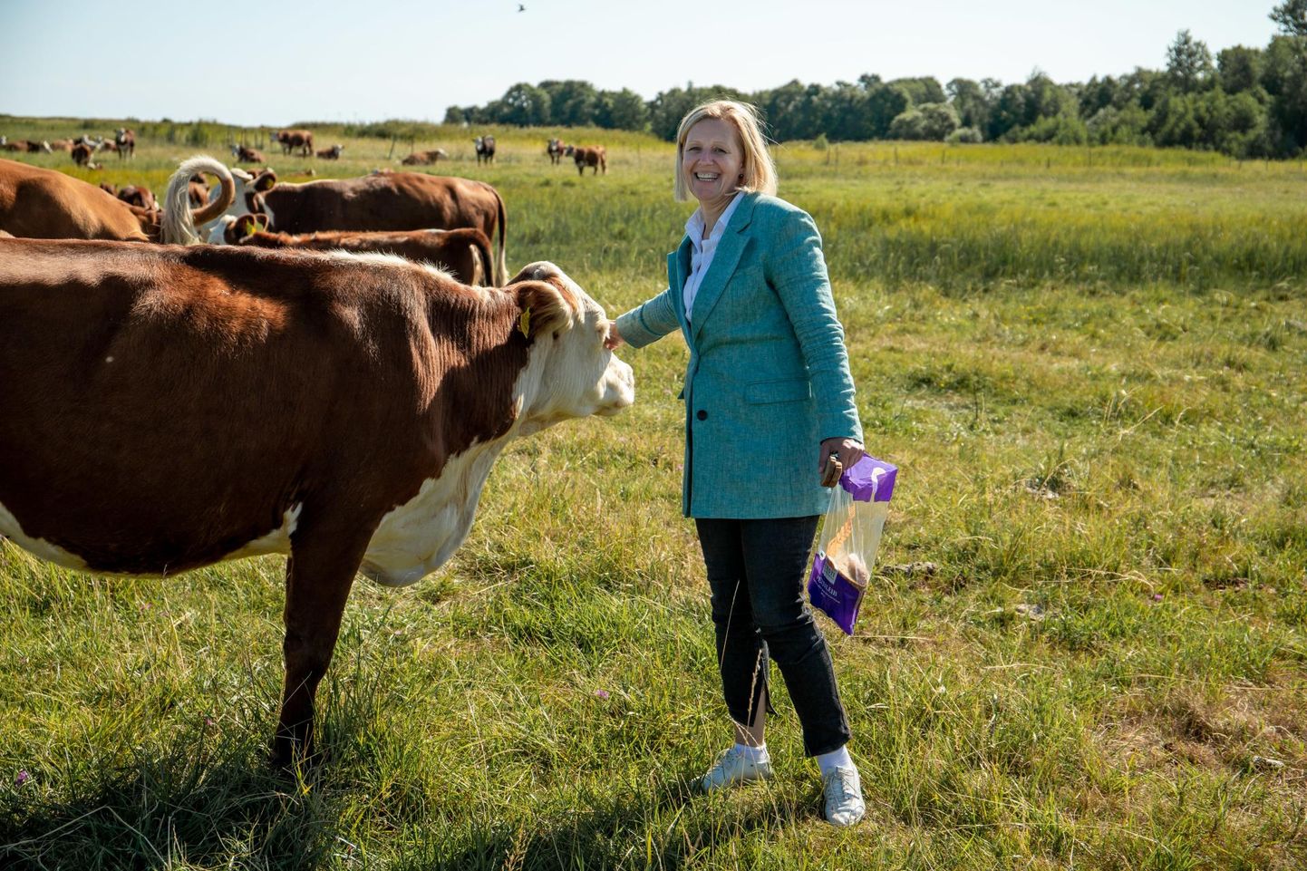 Kihnlastele kuuluva ettevõtte Kihnu Põllumajanduse OÜ asutas Annely Akkermann 2006. aastal. Foto eelmise aasta suvest. 