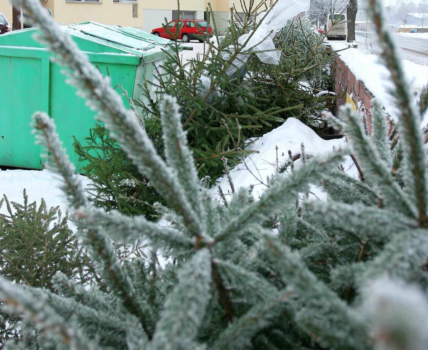 8. jaanuaril kogutakse Viljandis kokku jõulukuused.