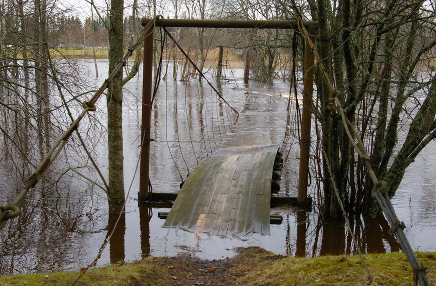 Rippsild Reiu jõel Paikuse ja Tahkuranna valla piiril on jäänud suurvee alla. Pilt on tehtud Paikuse valla poolt.