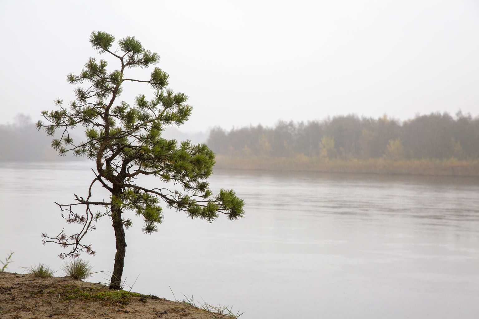 Река Гауя в Царникавском крае