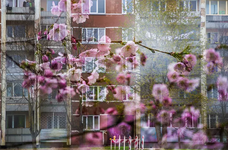 Фото статьи