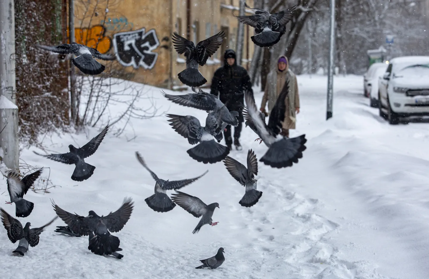 Фото статьи