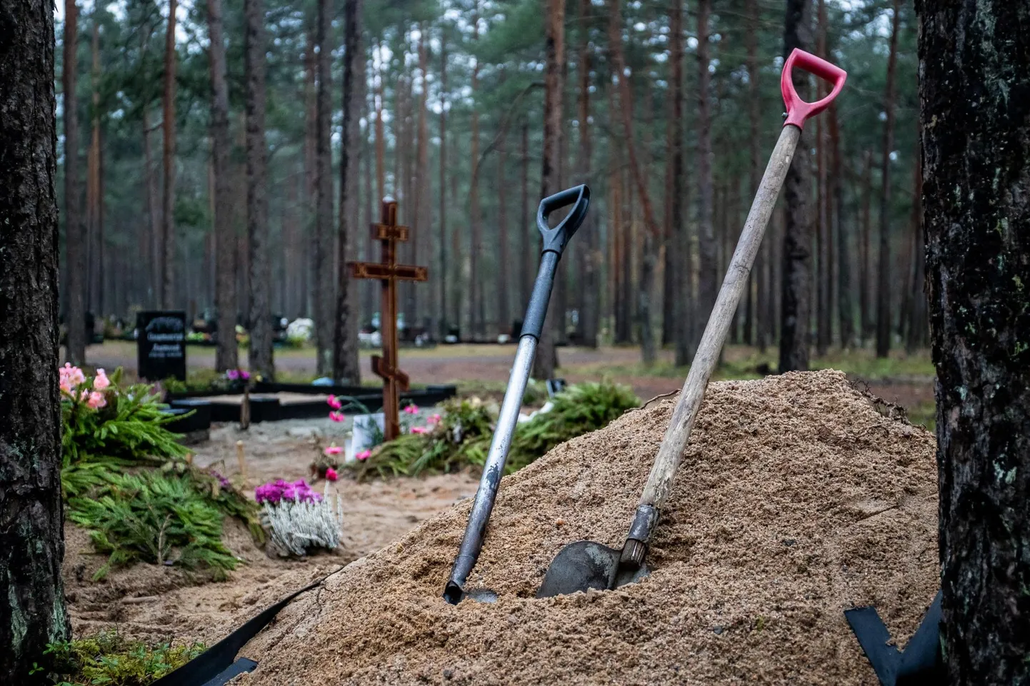 Eesti inimesi viivad hauda eelkõige elustiilihaigused.