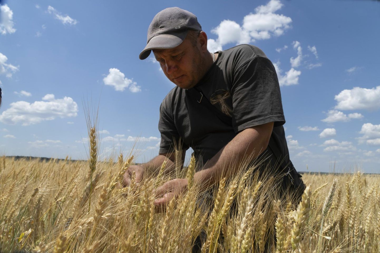 Donetski põllumees Andri Zubko nisu kontrollimas. 