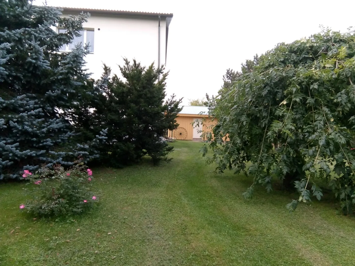Selja tee 2 korteriühistu pälvis eriauhinna ilusa koduümbruse kategoorias.