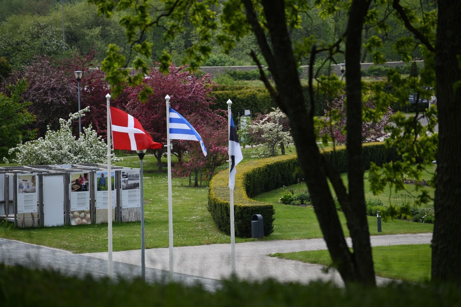 Botaanikaaed korraldab koostöös Taani saatkonnaga juunis põnevaid üritusi kogu perele.