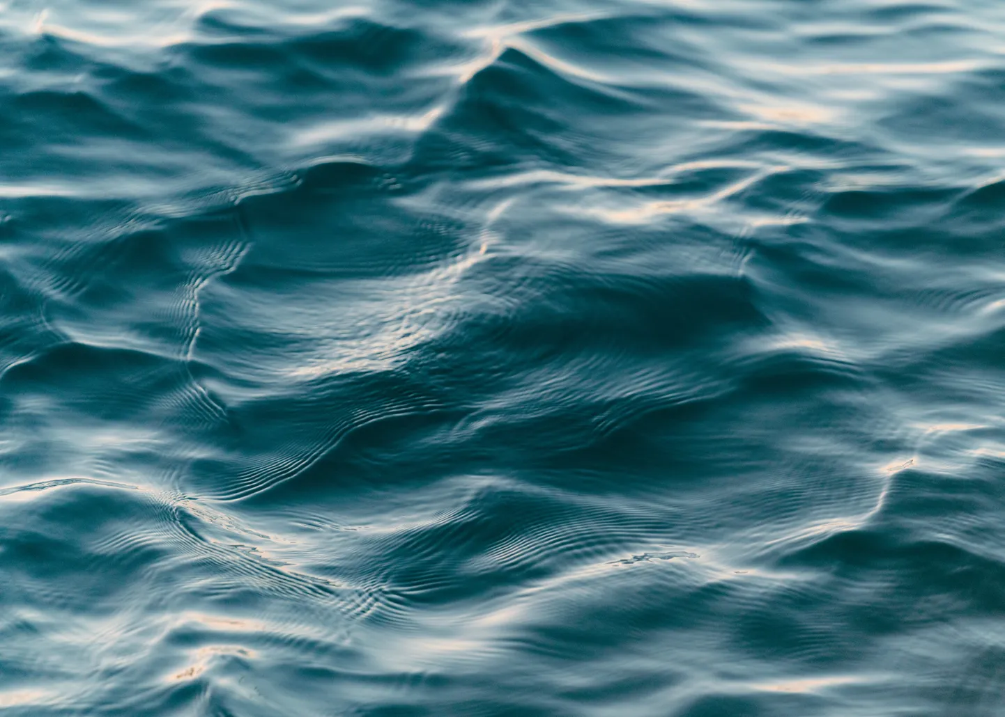Фото статьи