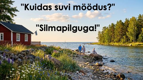 Kuidas suvi möödus?