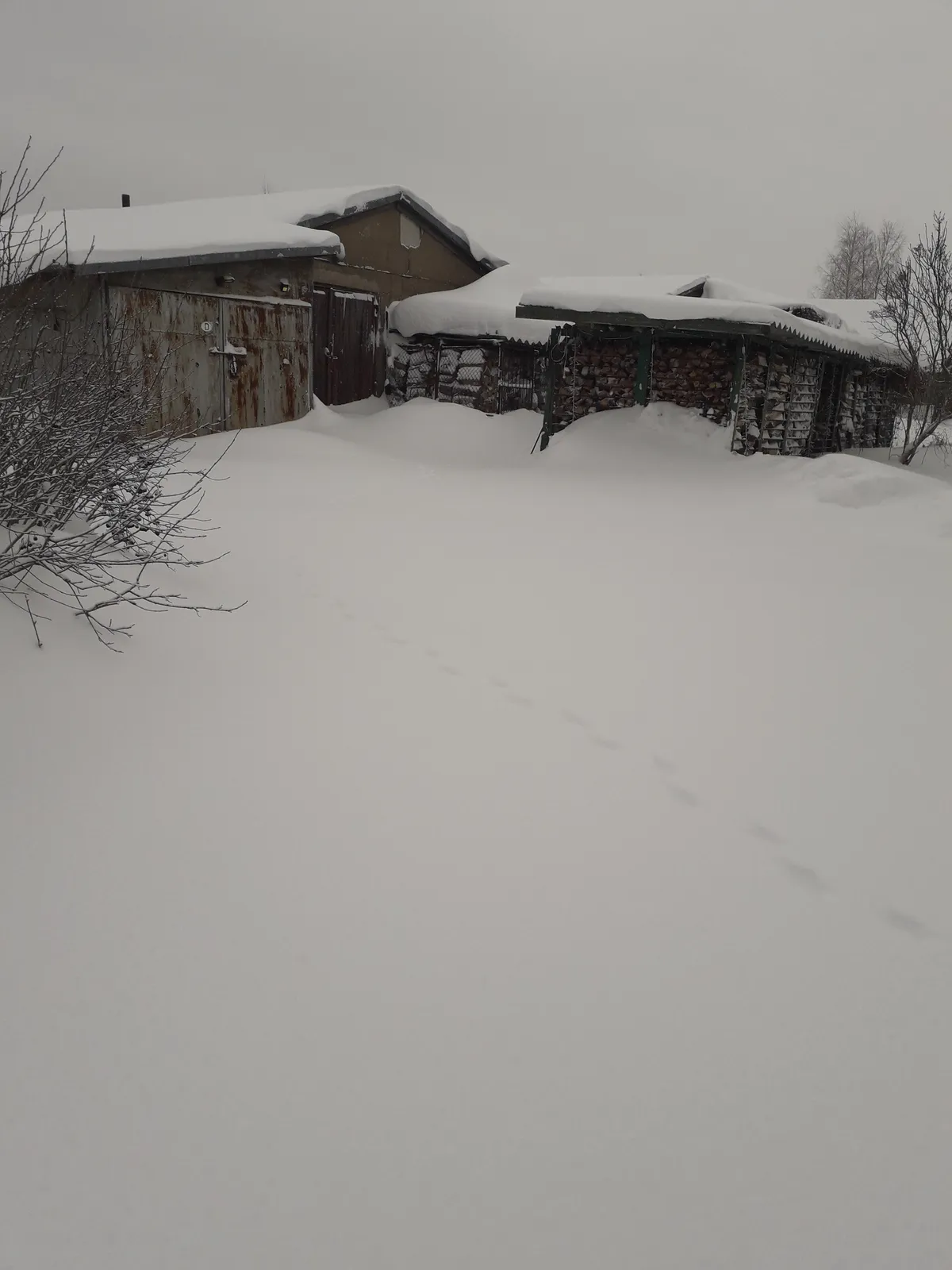 Raksta foto