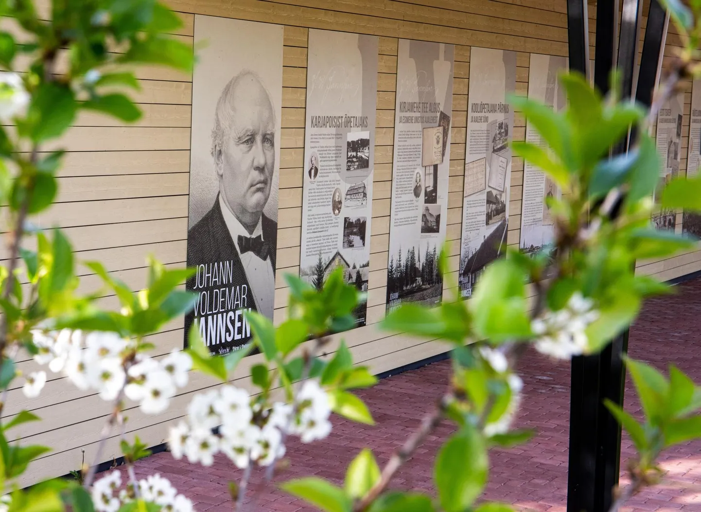 Papa Jannseni nädala tähistuseks avati Koidula muuseumi aiagaleriis välinäitus “Jannsen 205”.